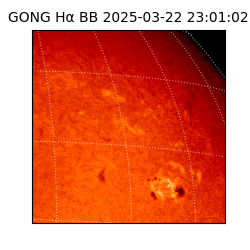 gong - 2025-03-22T23:01:02