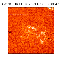 gong - 2025-03-22T03:00:42