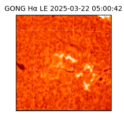 gong - 2025-03-22T05:00:42