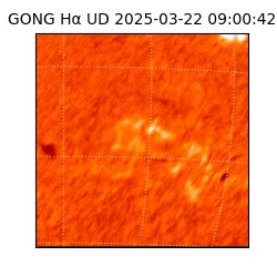 gong - 2025-03-22T09:00:42