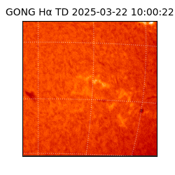 gong - 2025-03-22T10:00:22