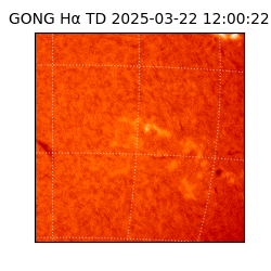 gong - 2025-03-22T12:00:22