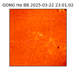 gong - 2025-03-22T23:01:02