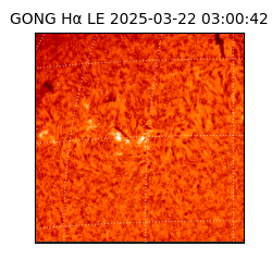 gong - 2025-03-22T03:00:42