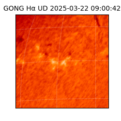 gong - 2025-03-22T09:00:42