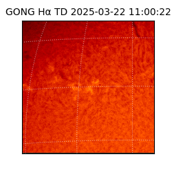 gong - 2025-03-22T11:00:22
