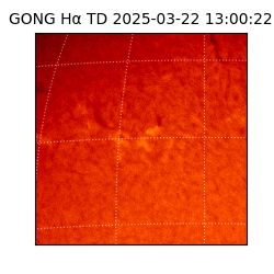 gong - 2025-03-22T13:00:22