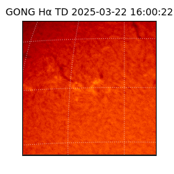 gong - 2025-03-22T16:00:22