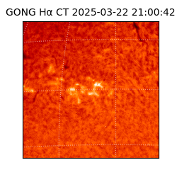 gong - 2025-03-22T21:00:42