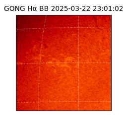 gong - 2025-03-22T23:01:02