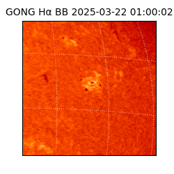 gong - 2025-03-22T01:00:02