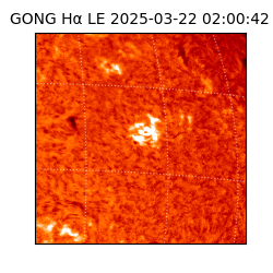 gong - 2025-03-22T02:00:42