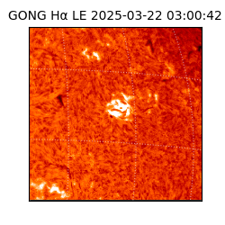 gong - 2025-03-22T03:00:42