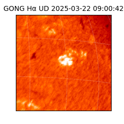 gong - 2025-03-22T09:00:42