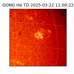 gong - 2025-03-22T11:00:22