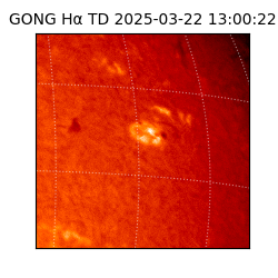 gong - 2025-03-22T13:00:22