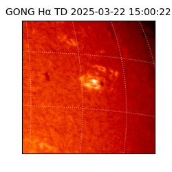 gong - 2025-03-22T15:00:22