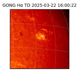 gong - 2025-03-22T16:00:22