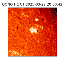 gong - 2025-03-22T20:00:42