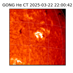 gong - 2025-03-22T22:00:42