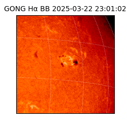 gong - 2025-03-22T23:01:02