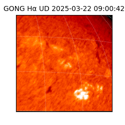 gong - 2025-03-22T09:00:42