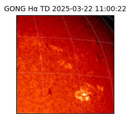 gong - 2025-03-22T11:00:22