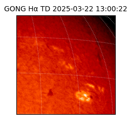 gong - 2025-03-22T13:00:22