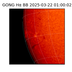 gong - 2025-03-22T01:00:02