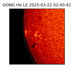 gong - 2025-03-22T02:00:42