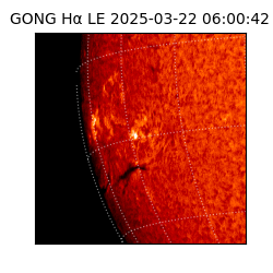 gong - 2025-03-22T06:00:42