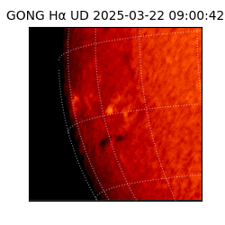 gong - 2025-03-22T09:00:42