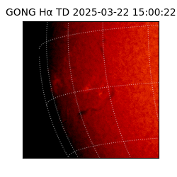 gong - 2025-03-22T15:00:22