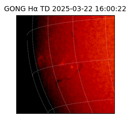 gong - 2025-03-22T16:00:22