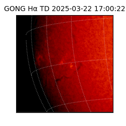 gong - 2025-03-22T17:00:22