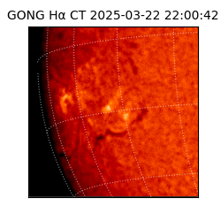 gong - 2025-03-22T22:00:42
