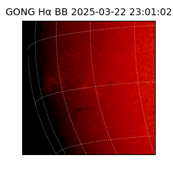 gong - 2025-03-22T23:01:02