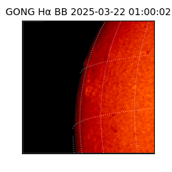gong - 2025-03-22T01:00:02