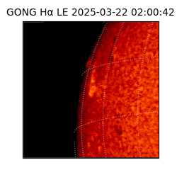 gong - 2025-03-22T02:00:42