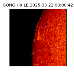 gong - 2025-03-22T03:00:42