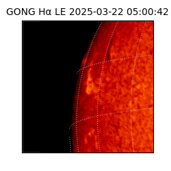 gong - 2025-03-22T05:00:42