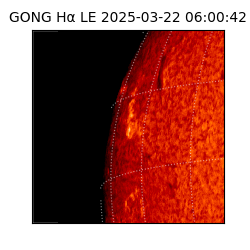 gong - 2025-03-22T06:00:42