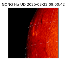 gong - 2025-03-22T09:00:42
