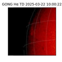 gong - 2025-03-22T10:00:22