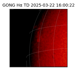 gong - 2025-03-22T16:00:22
