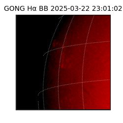 gong - 2025-03-22T23:01:02