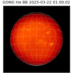 gong - 2025-03-22T01:00:02