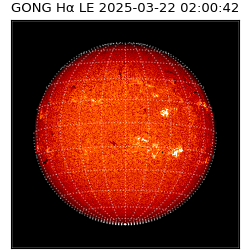 gong - 2025-03-22T02:00:42