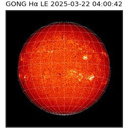 gong - 2025-03-22T04:00:42