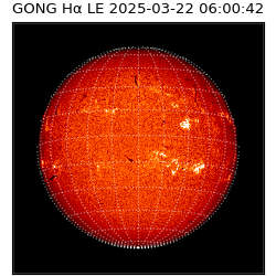 gong - 2025-03-22T06:00:42
